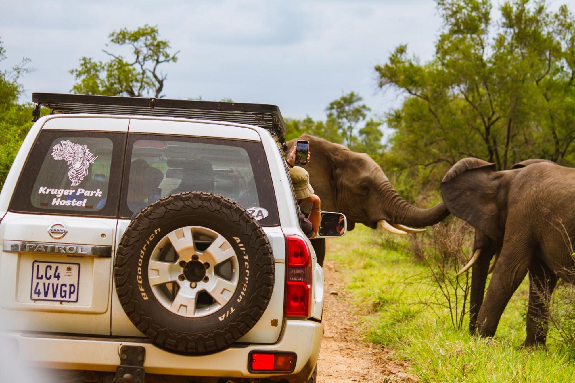 Kruger Park Hostel Marloth Park Ngoại thất bức ảnh