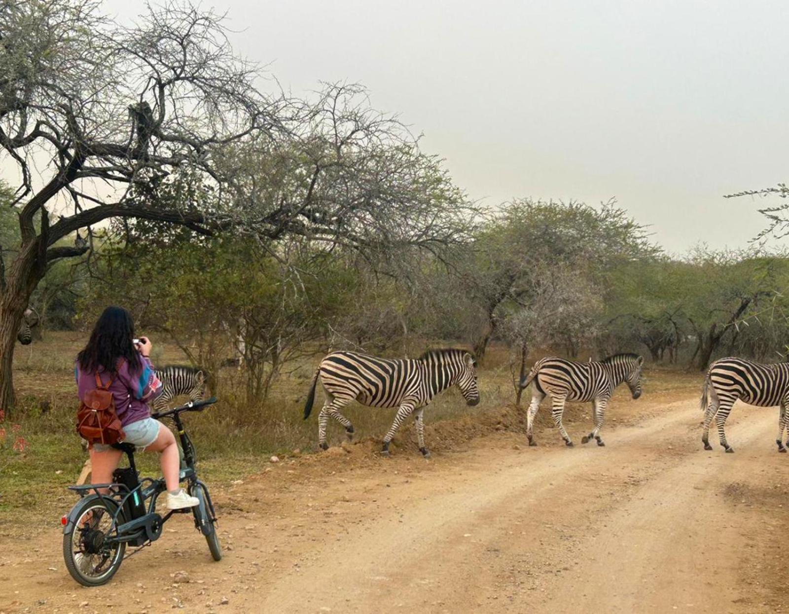 Kruger Park Hostel Marloth Park Ngoại thất bức ảnh