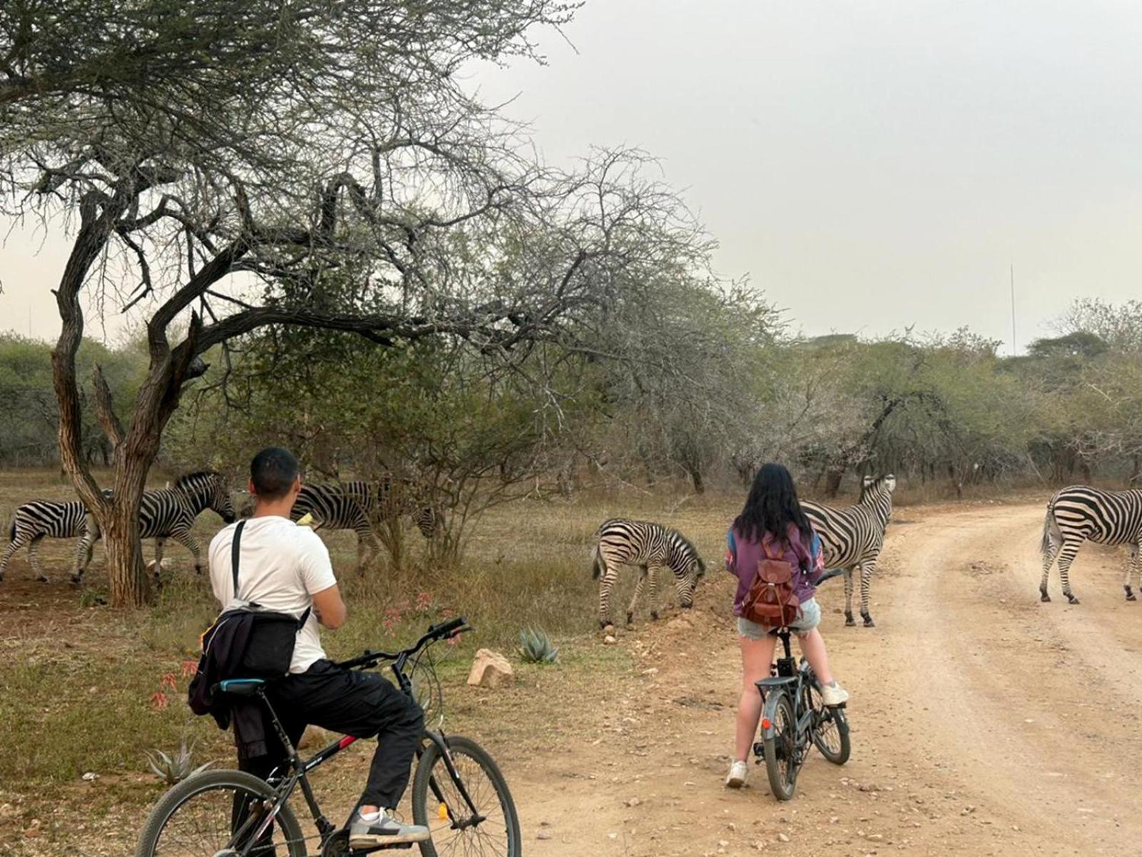 Kruger Park Hostel Marloth Park Ngoại thất bức ảnh